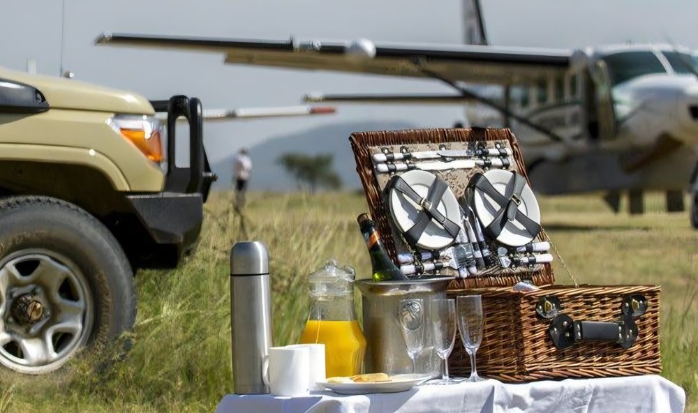 Bush breakfast picnic set up beside a safari vehicle and light aircraft