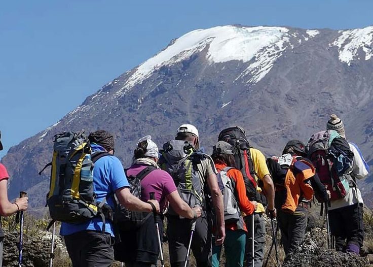 Trekking group hiking toward the snow-capped summit of Mount Kilimanjaro