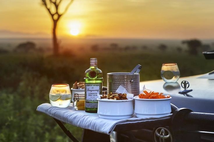 Sundowner drinks and snacks laid out on a safari vehicle at sunset, with an acacia tree silhouette